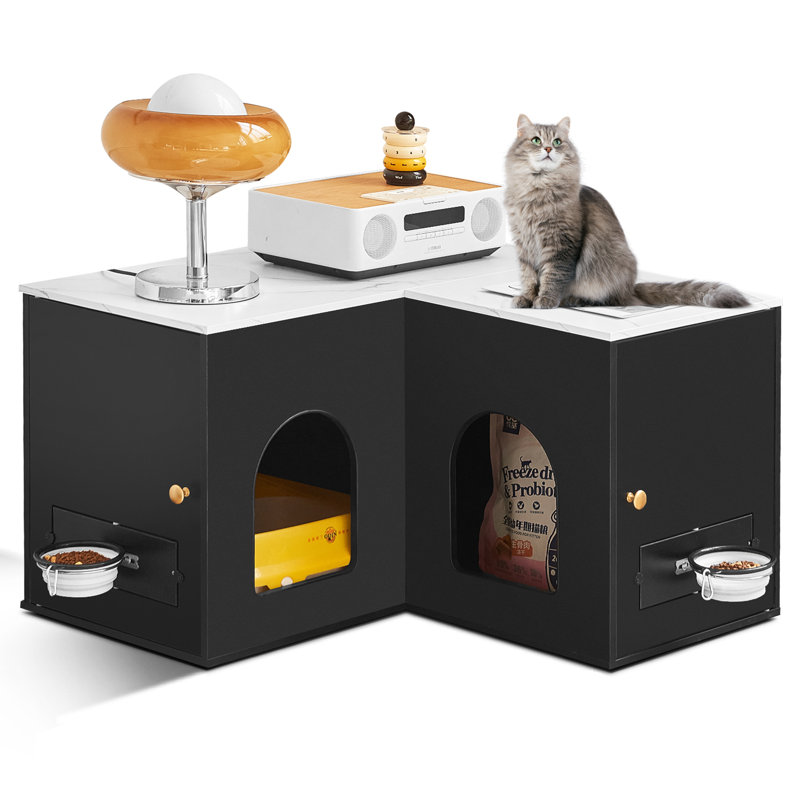 Double litter fashion box enclosure